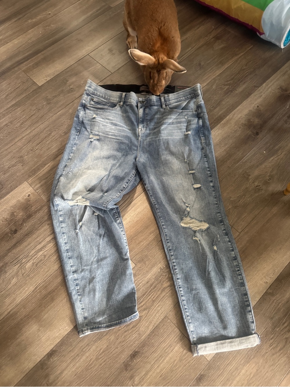 NWT Torrid distressed jeans stretchy sz 26